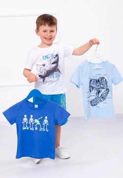 Набір футболок для хлопчика (3шт.)